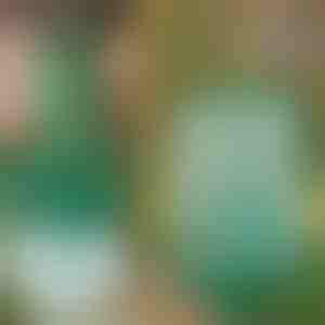 Zamka za muve i insekte za kačenje, višekratna upotreba | INSECTA