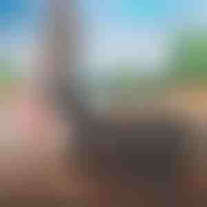 Putna torba koja se lako pakuje | FOLDARA