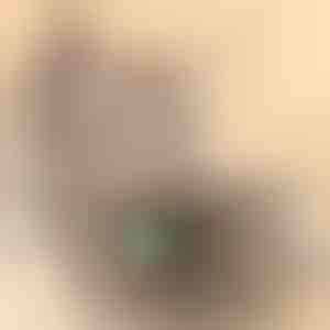 Igračka za mačke | PREYPLAY