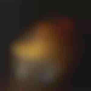 Fontana za hidrataciju za kućne ljubimce | PETSPRINGLE