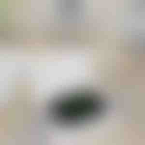 Bežični punjač za Apple Watch | WATCHBANK