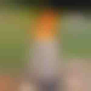 Prenosiva bezdimna stočna vatra | FIRENOVA